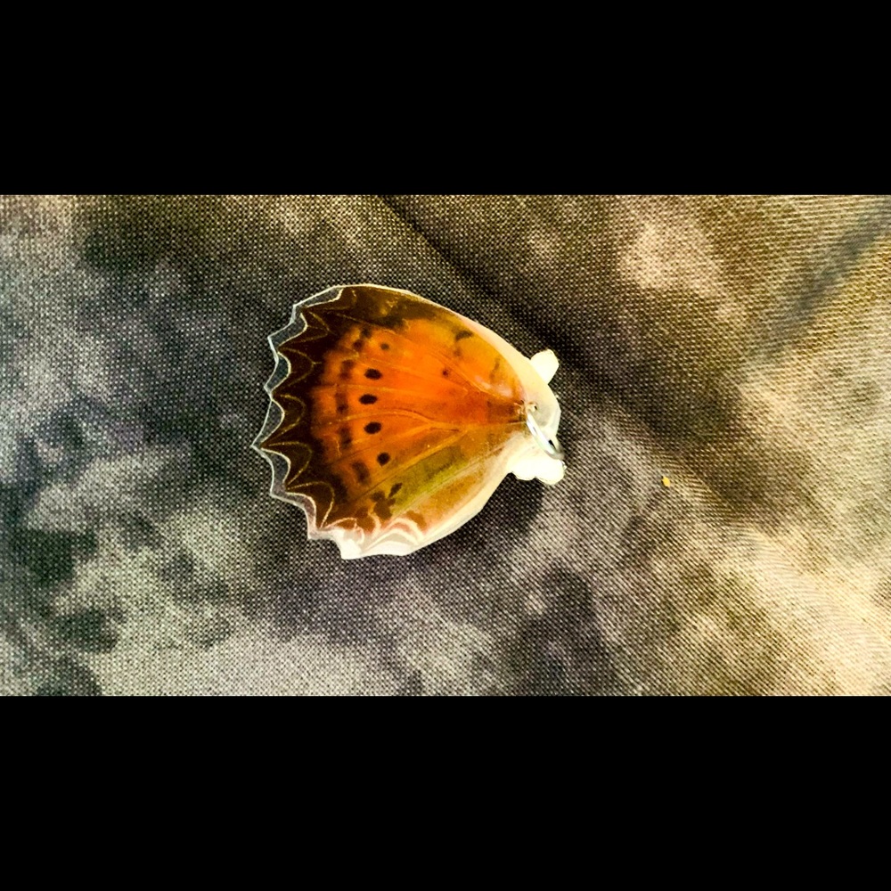 Real butterfly wing necklace!